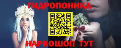 a pvp Дубна