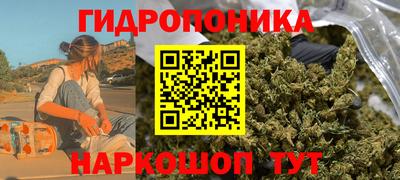 a pvp Дубна
