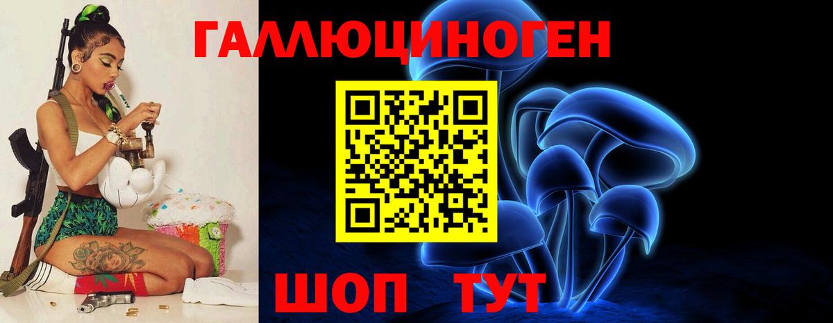 Черкесск  Псилоцибиновые грибы мицелий  Вход с VPN 
